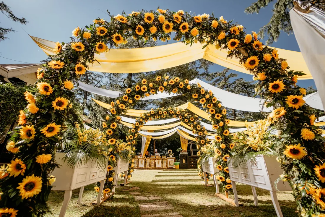 Haldi ceremony decor at Woodville Palace Shimla — sunflowers, marigold and yellow drapes on the palace lawn