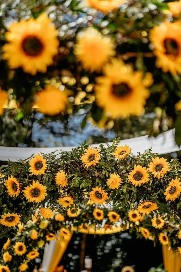 Haldi ceremony decor at Woodville Palace Shimla — sunflowers, marigold and yellow drapes on the palace lawn