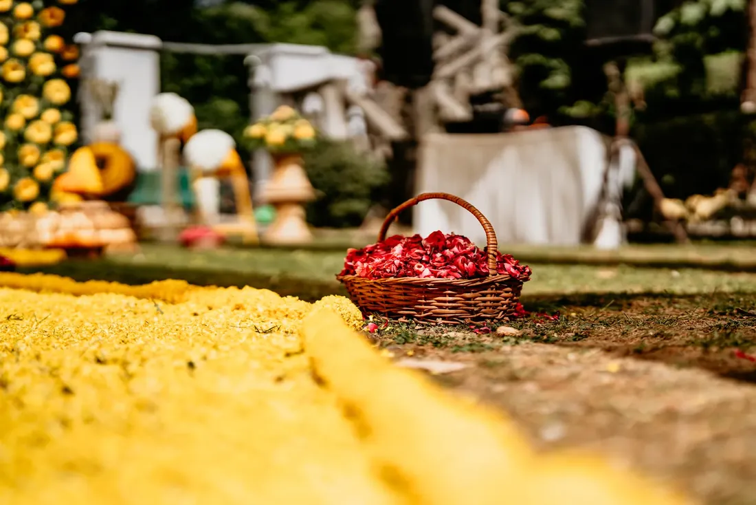 Haldi ceremony decor at Woodville Palace Shimla — sunflowers, marigold and yellow drapes on the palace lawn